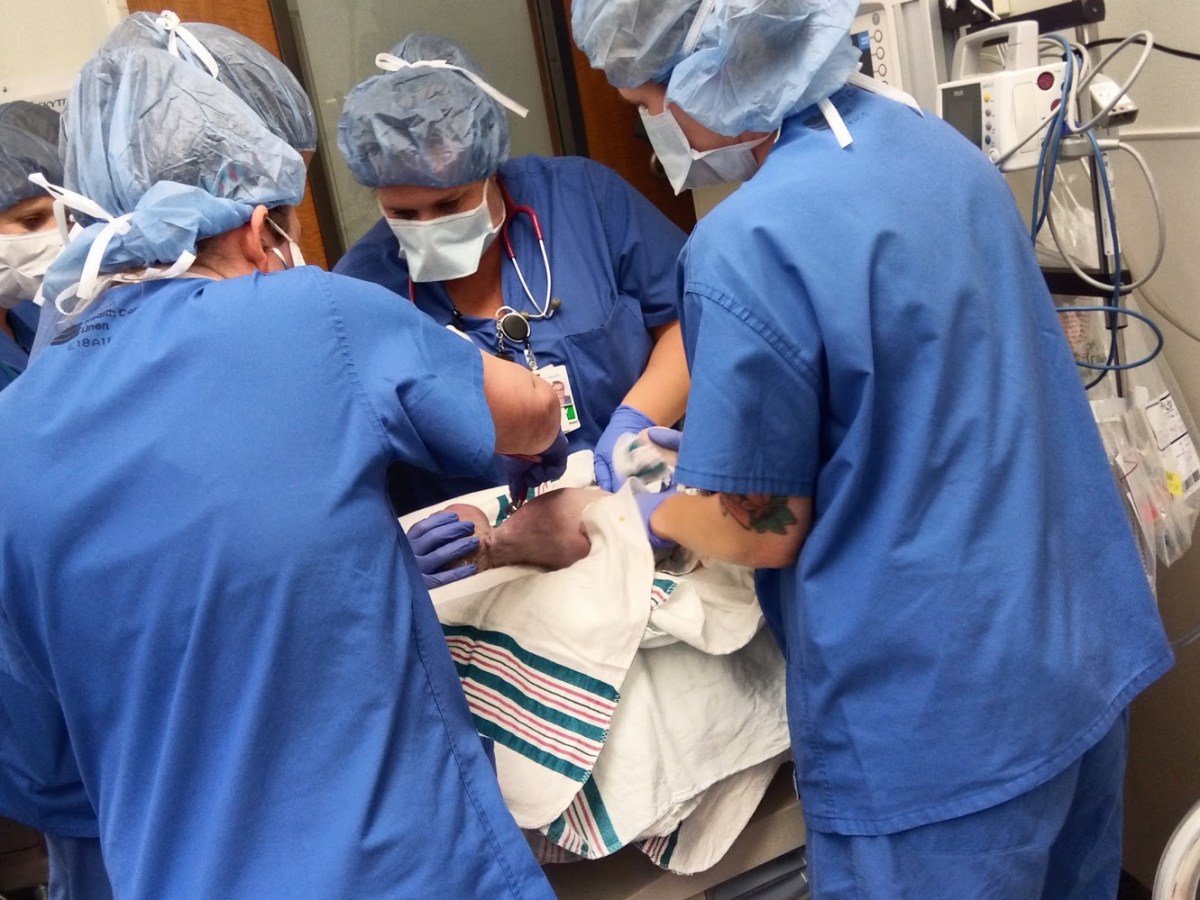 How I gave birth in a little black dress