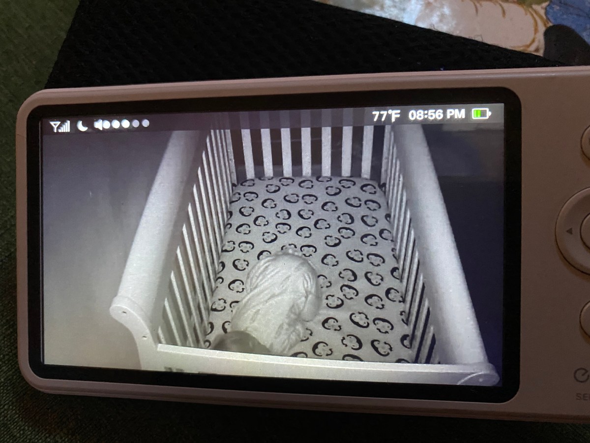 Palpable love, or snuggy buggy